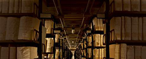 Announcing the MFSO Oral History & Archiving Project